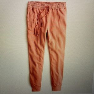 NEW J. Crew Magic Rinse Jogger Pant